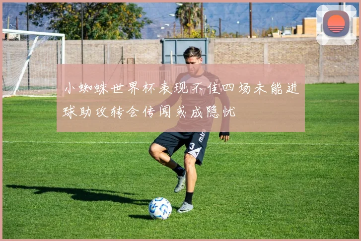 小蜘蛛世界杯表现不佳四场未能进球助攻转会传闻或成隐忧