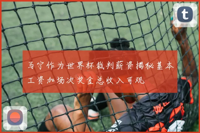 马宁作为世界杯裁判薪资揭秘基本工资加场次奖金总收入可观
